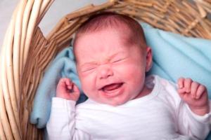 The past three days in picture form!